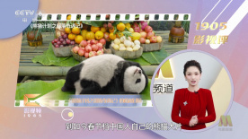 前卫的妻子